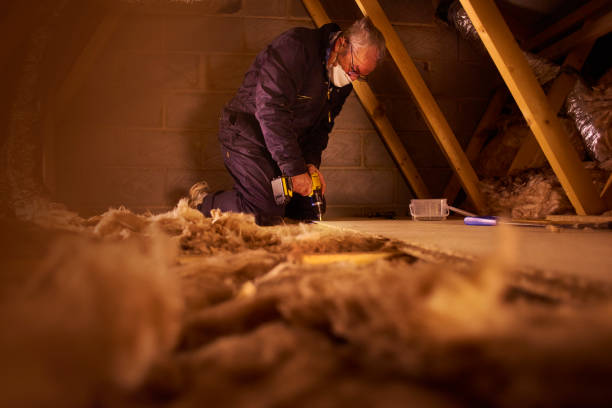 Best Cellulose Insulation in Farley, KY
